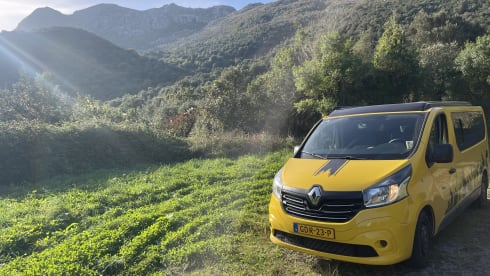 Arie – 4-Sitzer Renault Wohnmobil aus dem Jahr 2017