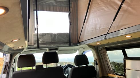 Mario – VW T6 Transporter - Classic, high spec interior in the Peak District
