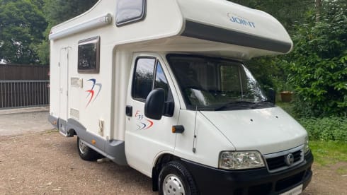 Bluebell – Fun, Versatile and Reliable