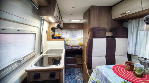  Swan – Nuovo Bravia 636 Swan