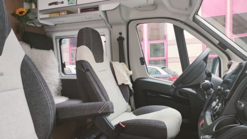 Candy – Candy baby - Luxury Fiat bus from 2021