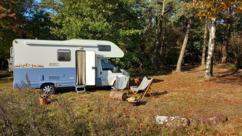 Geheel gerenoveerde camper met retro look. – Heidehut - 4 persoons alkoof-camper 