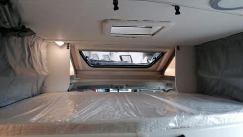 T338 Luxe Carado – 2025 (NEW)AUTOMATIC PREMIUM