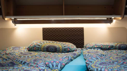 Franky – Rent Me:)