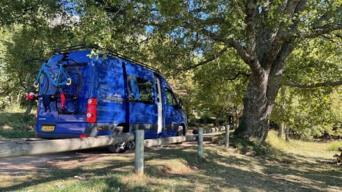 Volkswagen bus for duo or small family ready for a new road trip