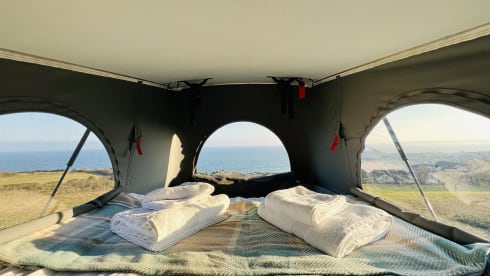 Winnie  – 4 berth, 4 belt (2023)