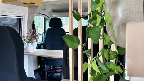 Bobbie – 5p Peugeot bus from 2025