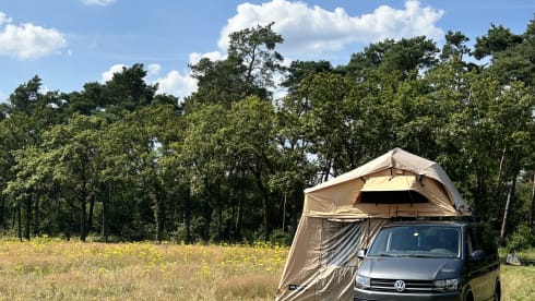 Toit Volkswagen 4p de 2018