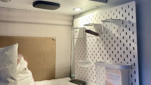 GINNY – small but has everything