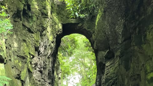 Daisy  – 4 berth Dethleffs semi-integrated from 2018