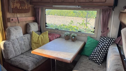 De bruine beer  – 5p Hymer integrated from 1992