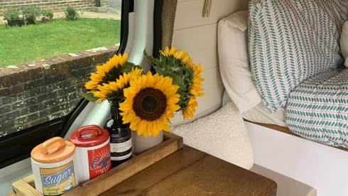 Dallas – Meet Dallas our much loved camper! 