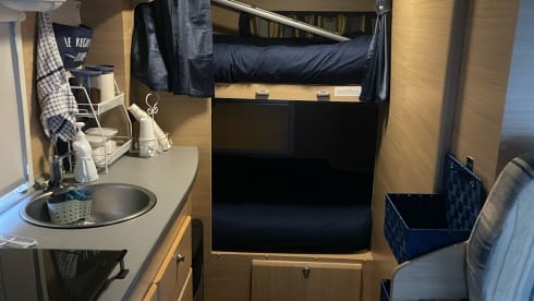 Flora madaluno – Fabiograsso2018@gmail.com