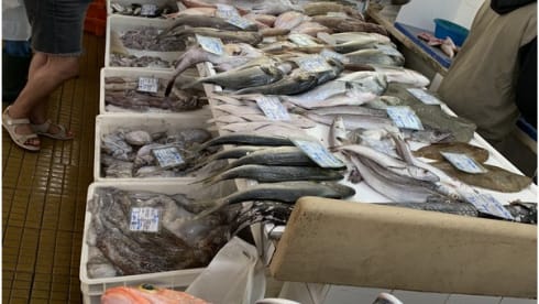 Charlie – Mercedes Charlie 308D