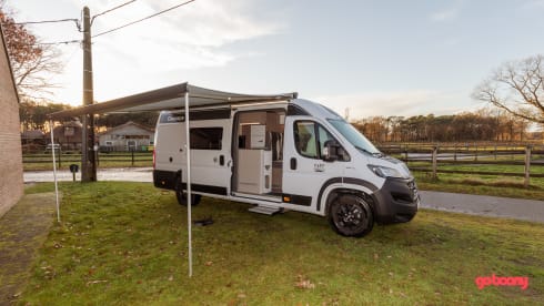 Hectorhetbusje – 2p Chausson Bus camper from 2021