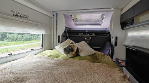 Berliner Box – La vie est trop courte pendant un certain temps ! Challenger 240