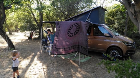 ROSIE – VolkswagenCalifornia 2022