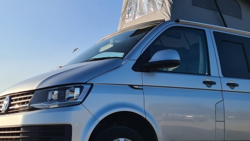 silver lady – VW TRANSPORTER SWB CAMPERVAN 4 LIEGEPLÄTZE