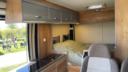 De Groene Waldi – Peugeot Boxer compact camper for rent