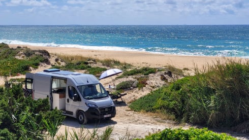 Birdie – our tiny house on wheels from 2024 - 2 p.  