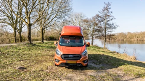 klein maar dapper  – 2 Ford bus nugget from 2019