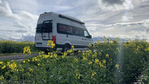 Carolin – VW Grand California 600 - das perfekte Reisemobil für die Familie