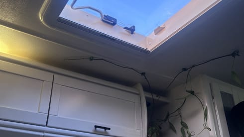 Maisy – Maisy ; un camping-car confortable et autonome à 2 couchages