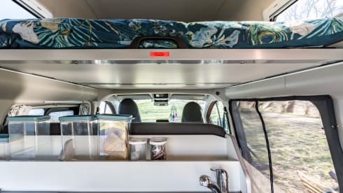 klein maar dapper  – 2 Ford bus nugget from 2019