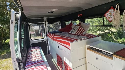 Boxer – True Boxer