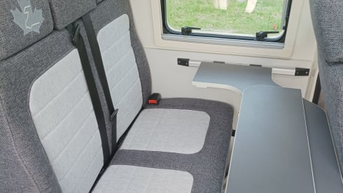 Zìyóu hěn shǎo – Ahorn Van 620 mit Automatik Komfort auf kompaktem Raum