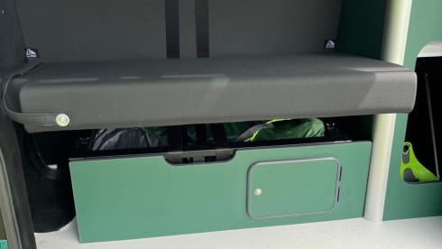 Curly – 4 berth Volkswagen Transporter Campervan from 2022