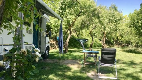 Fresh VW camper around! (4 person alcove)