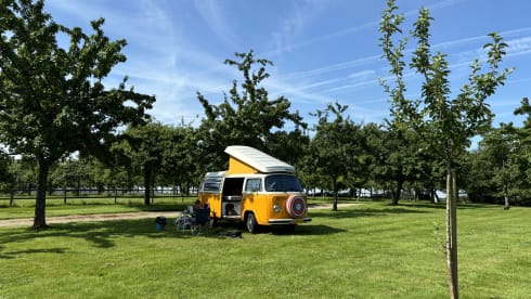 Explore the Veluwe in retro style