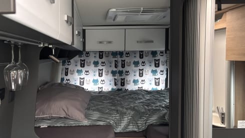 Moustache – 2-Personen-Dethleffs-Bus aus dem Jahr 2024