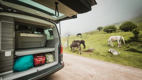 Baroudeur California – Volkswagen California T6.1 (Lyon)