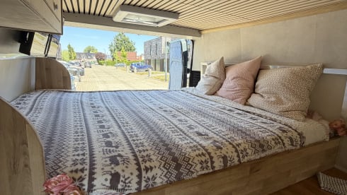 Gustavo – 3-sitziger Fiat-Bus ab 2023