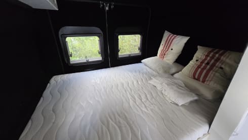 Ragnar – 2p Fiat bus from 2016