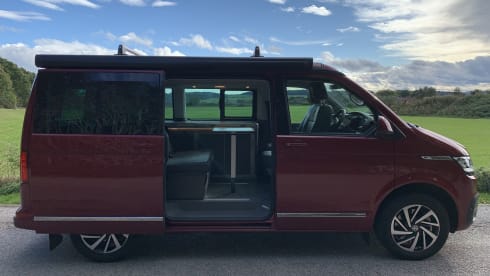 Strawberry – New VW California Ocean T6.1 DSG 2.0 TDI Automatic with drive assist