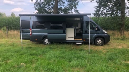 4p Westfalia bus from 2015