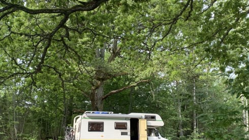 Spacious, neat 1980s family camper (Last 2 weeks of summer '25 discount!)