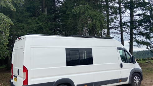 White Shark  – Wild Camper