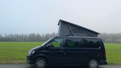 Well-equipped Volkswagen California for rent