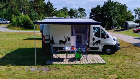 2p Peugeot bus from 2018