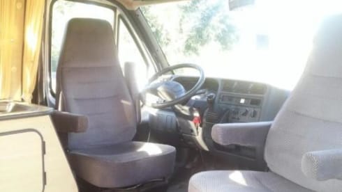 Lady – Comfortable, cheerfully pimpered, light Safari bus camper