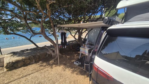 VWT7 – VW T7 California Ocean with lifting roof - eHybrid - Automatic - New