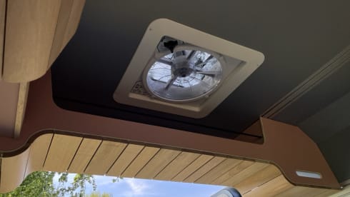 Roze Roadtripper – Camping-car bus modulable pour 4 personnes 