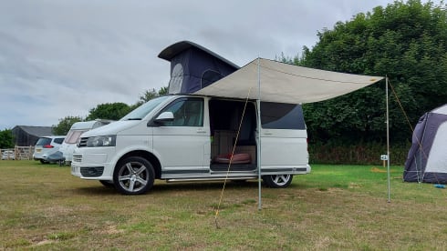 Transporter-Saurus-Rex – Transporter-Saurus-Rex... a 4 berth Volkswagen campervan from 2010