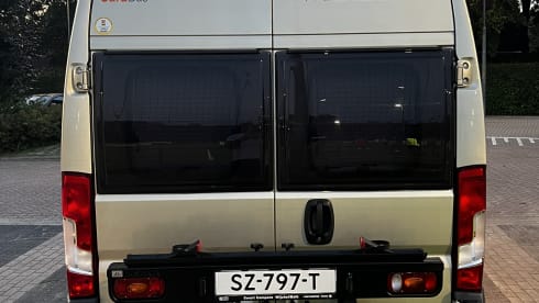4p Fiat bus from 2018