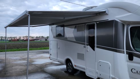 4p McLouis integrated uit 2019