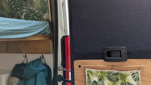 Reggie – 2 berth Peugeot bus from 2016